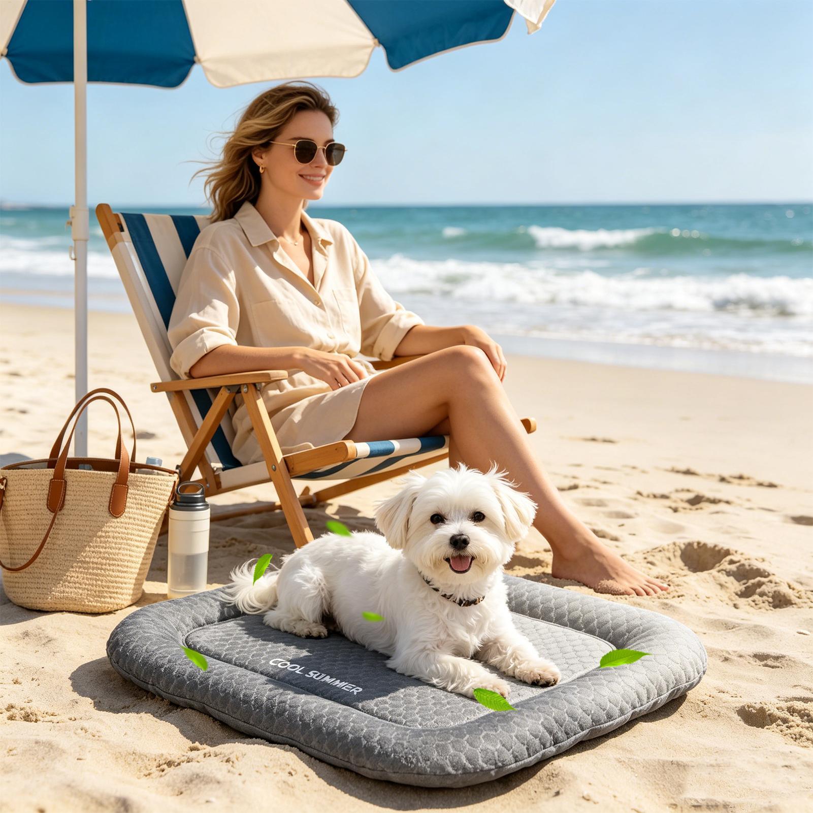 Tragbare, rutschfeste Hundeküh – Outdoor Camping Dog Kennel Bewertung und Preis
