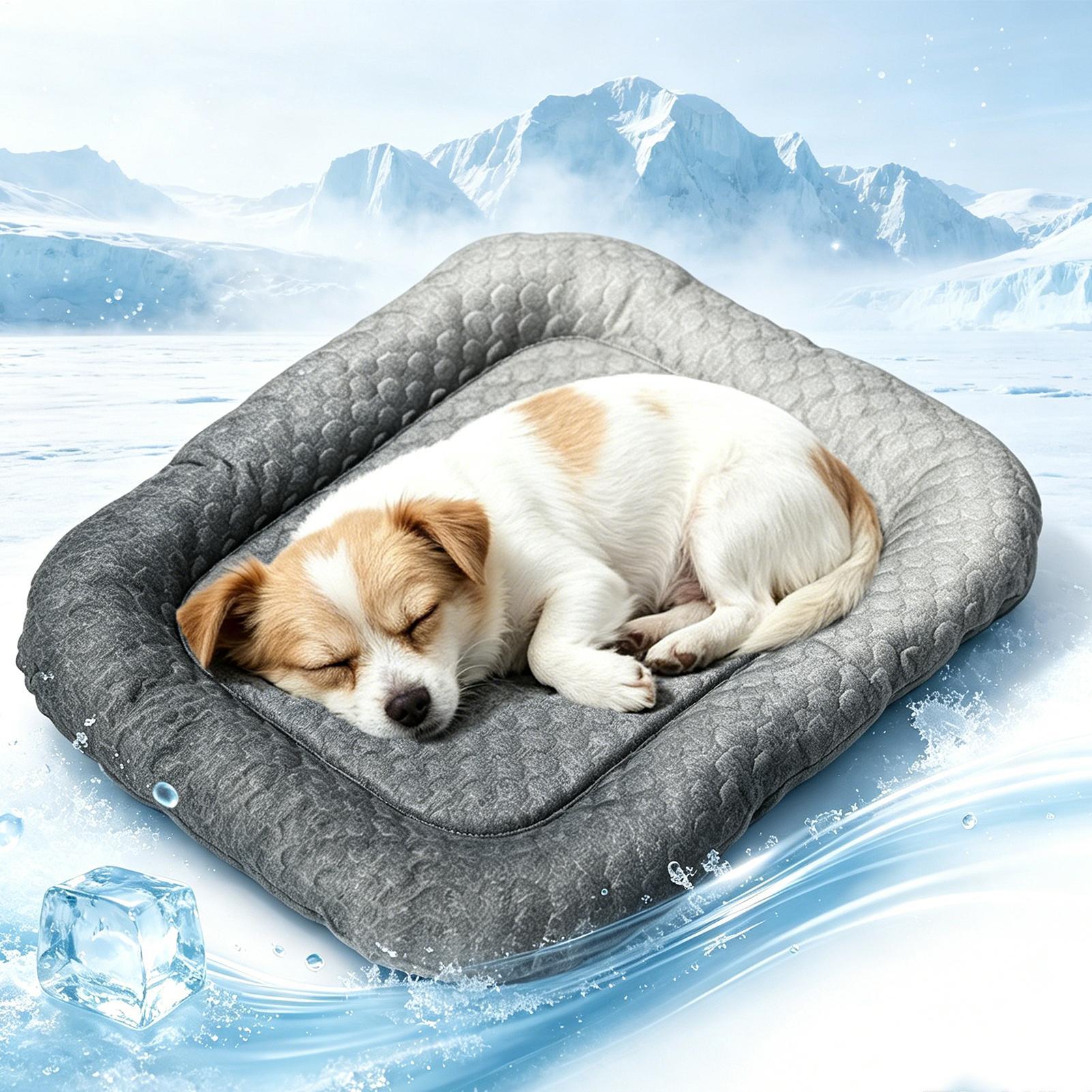 Tragbare, rutschfeste Hundeküh – Outdoor Camping Dog Kennel Bewertung und Preis