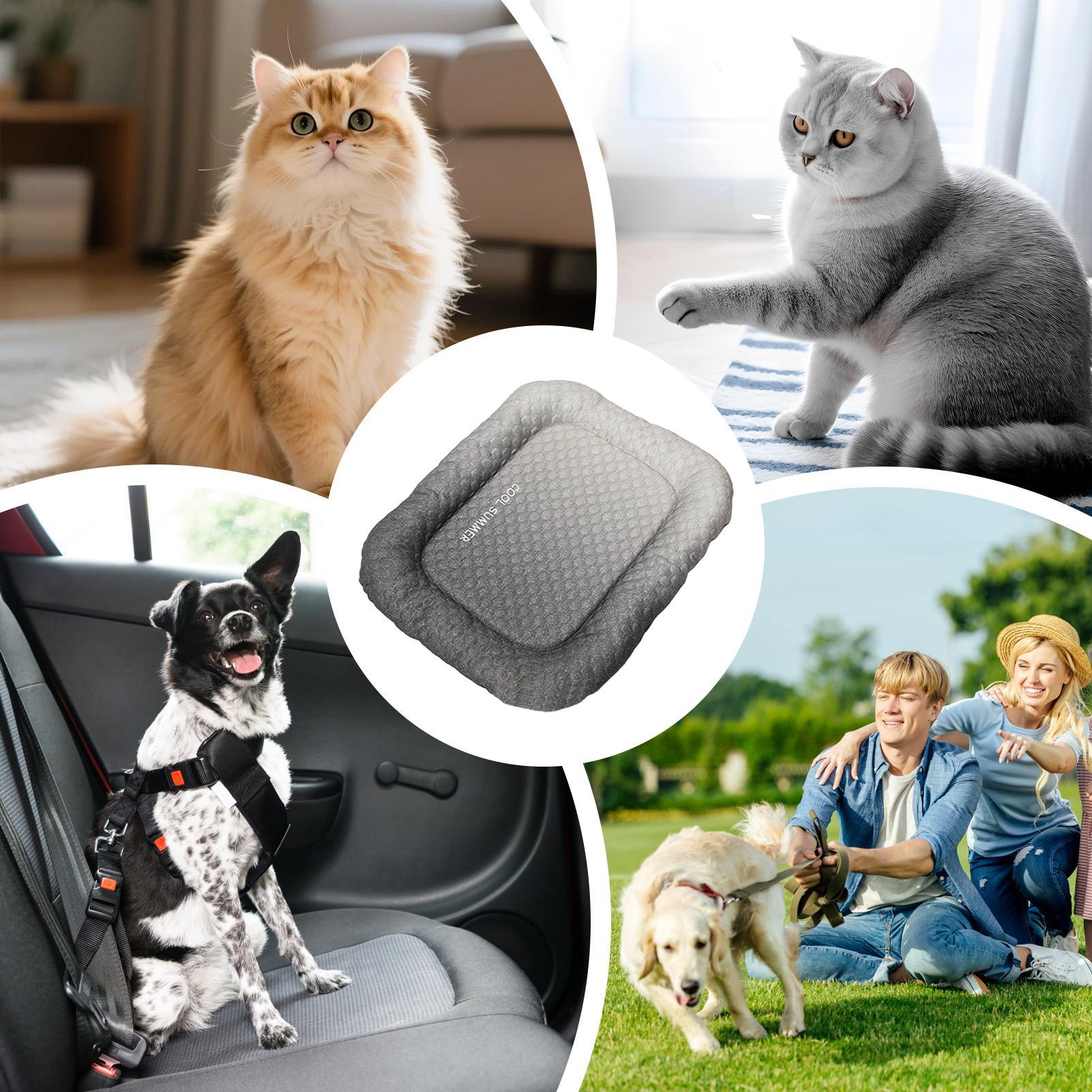 Tragbare, rutschfeste Hundeküh – Outdoor Camping Dog Kennel Bewertung und Preis